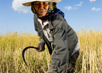 Amid wars and crises, build rural women’s movements for rights, welfare, and genuine development