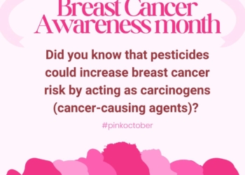 Women, Breast Cancer and Pesticides