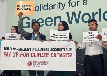 COP29: What did agri-food gain from Baku?