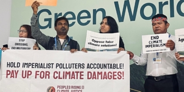 COP29: What did agri-food gain from Baku?