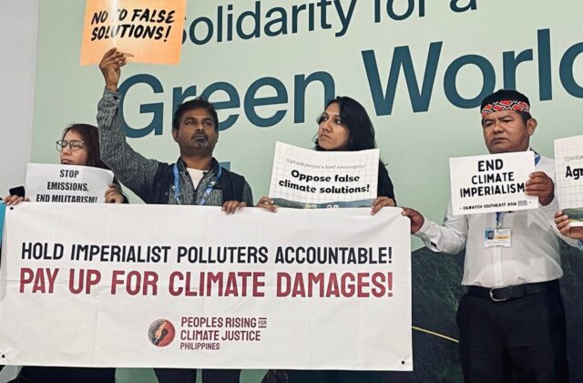 COP29: What did agri-food gain from Baku?