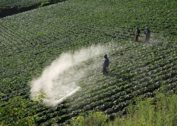 Global network releases key tools for global phase-out of highly hazardous pesticides