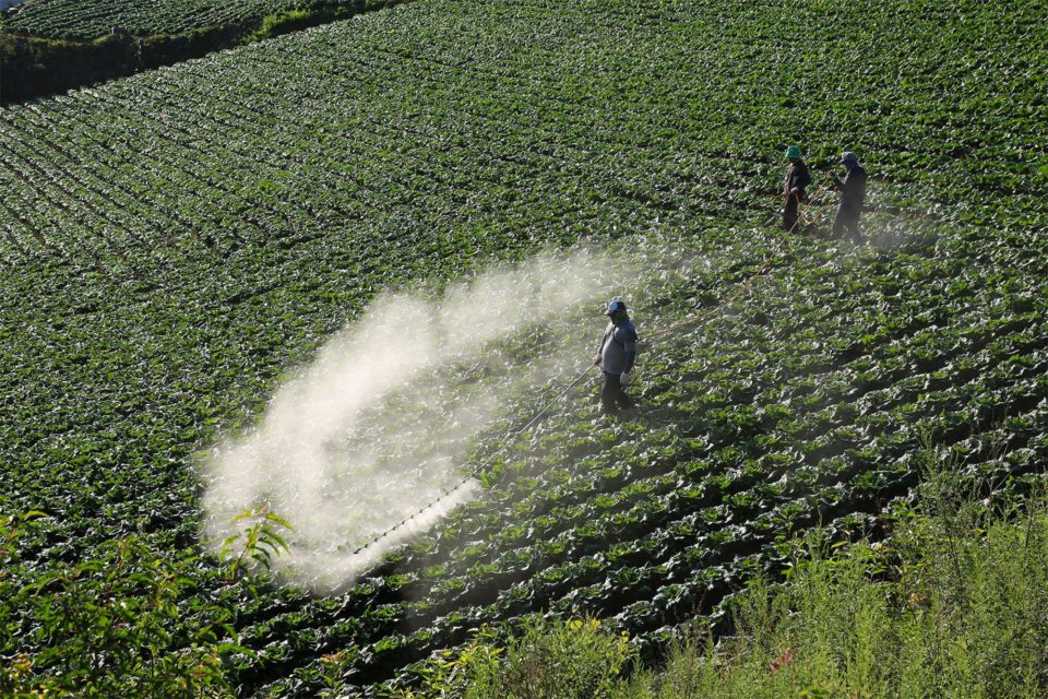 Global network releases key tools for global phase-out of highly hazardous pesticides