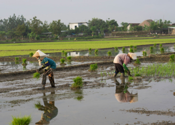 Launch of CPAM Public Landing Page to Enhance Awareness and Advocacy Against Highly Hazardous Pesticides (HHPs)