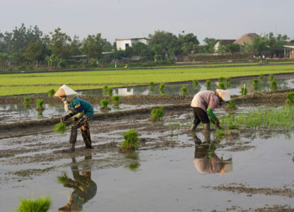 Launch of CPAM Public Landing Page to Enhance Awareness and Advocacy Against Highly Hazardous Pesticides (HHPs)