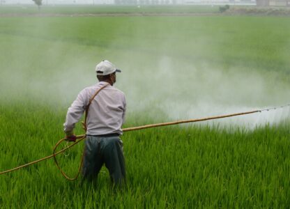 PAN Asia Pacific Launches Groundbreaking Report on Pesticide Residue Impacts in South and Southeast Asia