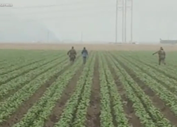 Agricultural workers demand an end to Trump’s oppressive migrant policy