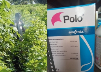 Switzerland (Ba sel) Court Advances Proceedings Against Syngenta