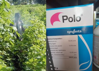 Switzerland (Ba sel) Court Advances Proceedings Against Syngenta