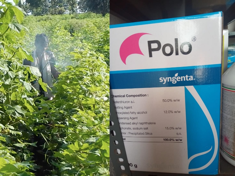 Switzerland (Ba sel) Court Advances Proceedings Against Syngenta