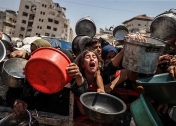 Gaza ceasefire deal: Lasting peace means justice for victims of genocidal famine, war crimes