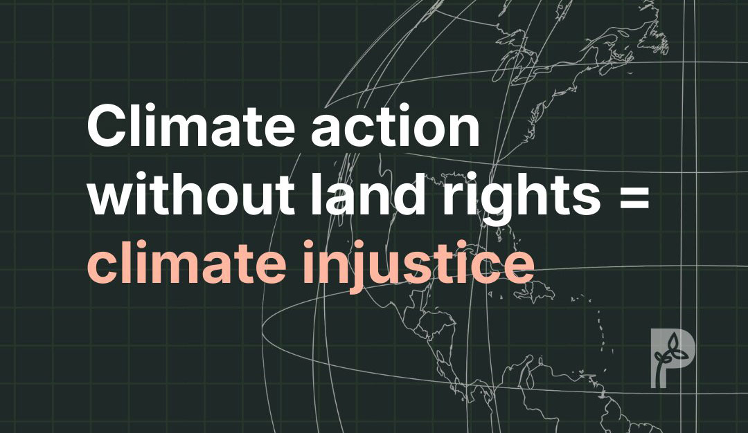 ICARRD+20: Land grabs and false climate solutions
