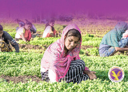 UN International Year of Woman Farmer: Recognition vs Reality