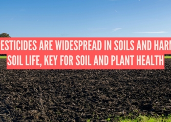Widespread pesticide use harms soils life