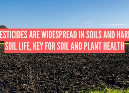 Widespread pesticide use harms soils life