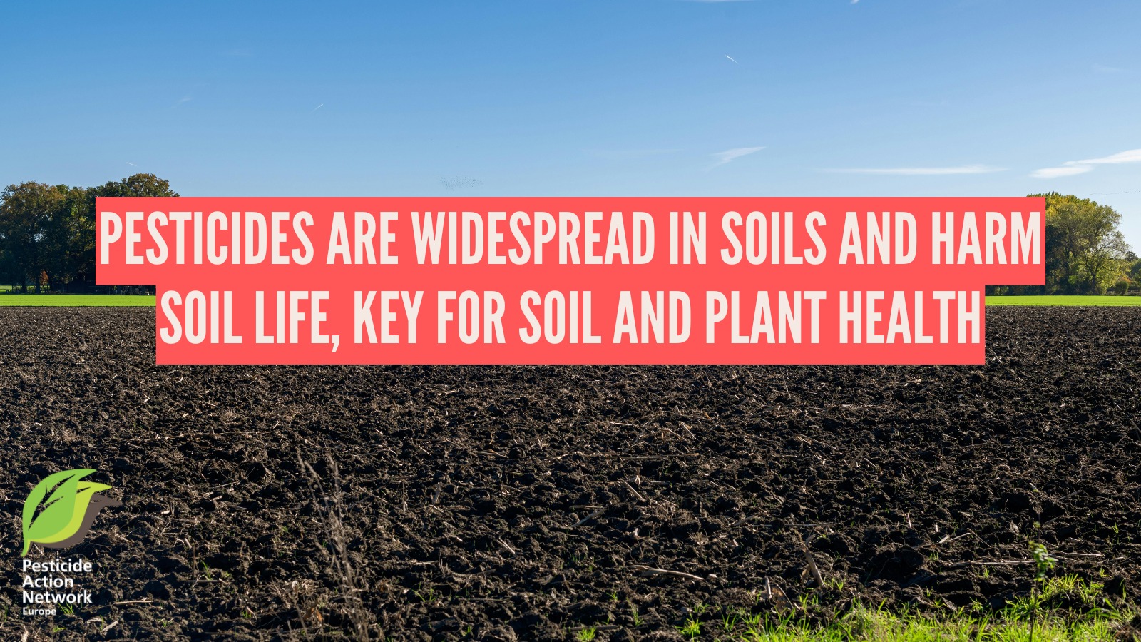 Widespread pesticide use harms soils life