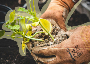 Earth Day Call: Transforming Food Systems Through Agroecology