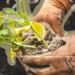 Earth Day Call: Transforming Food Systems Through Agroecology