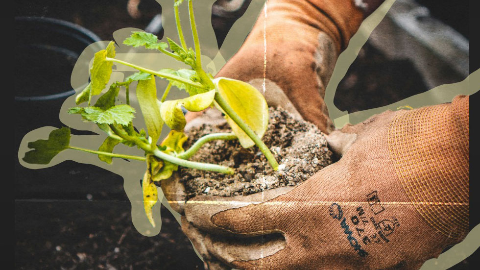 Earth Day Call: Transforming Food Systems Through Agroecology