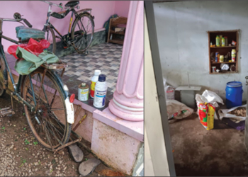 The Urgent Need to Phase Out Hazardous Pesticides