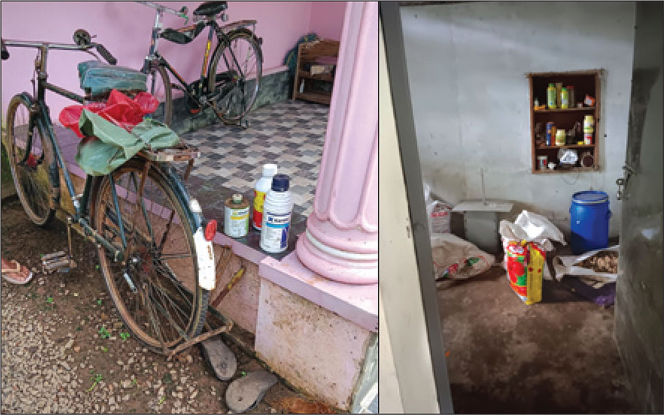 The Urgent Need to Phase Out Hazardous Pesticides