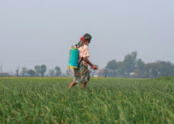 Lawmaker Urges Ban on Deadly Herbicide Paraquat Dichloride