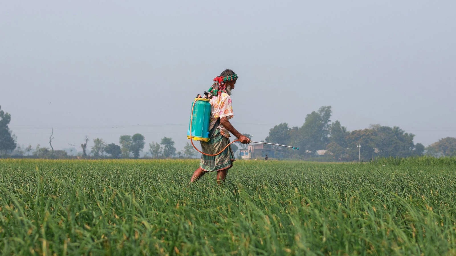 Lawmaker Urges Ban on Deadly Herbicide Paraquat Dichloride