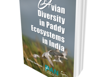 Avian Diversity in Paddy Ecosystems in India