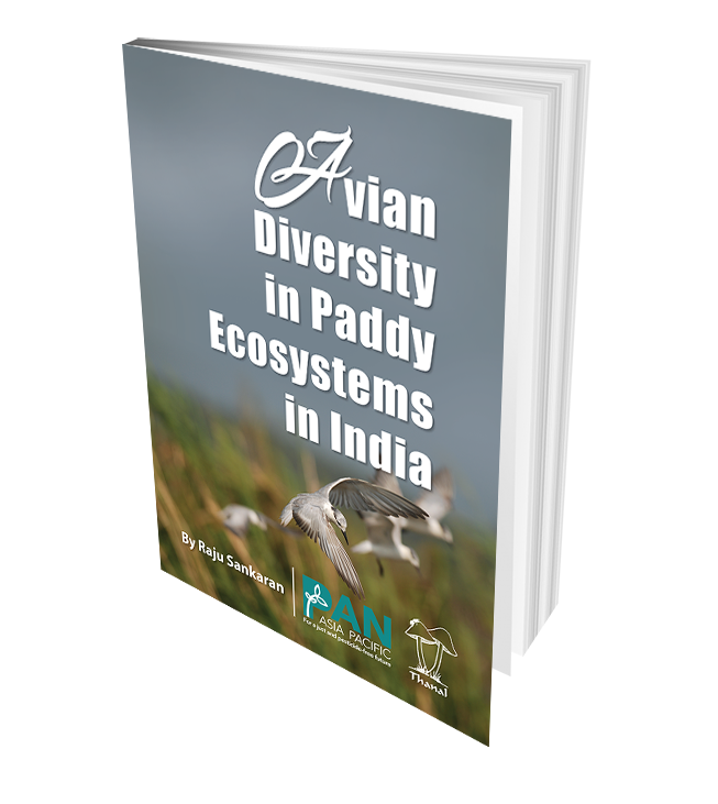 Avian Diversity in Paddy Ecosystems in India
