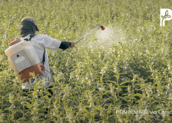 Victory for farmers and communities: India Set to Ban Paraquat Nationwide
