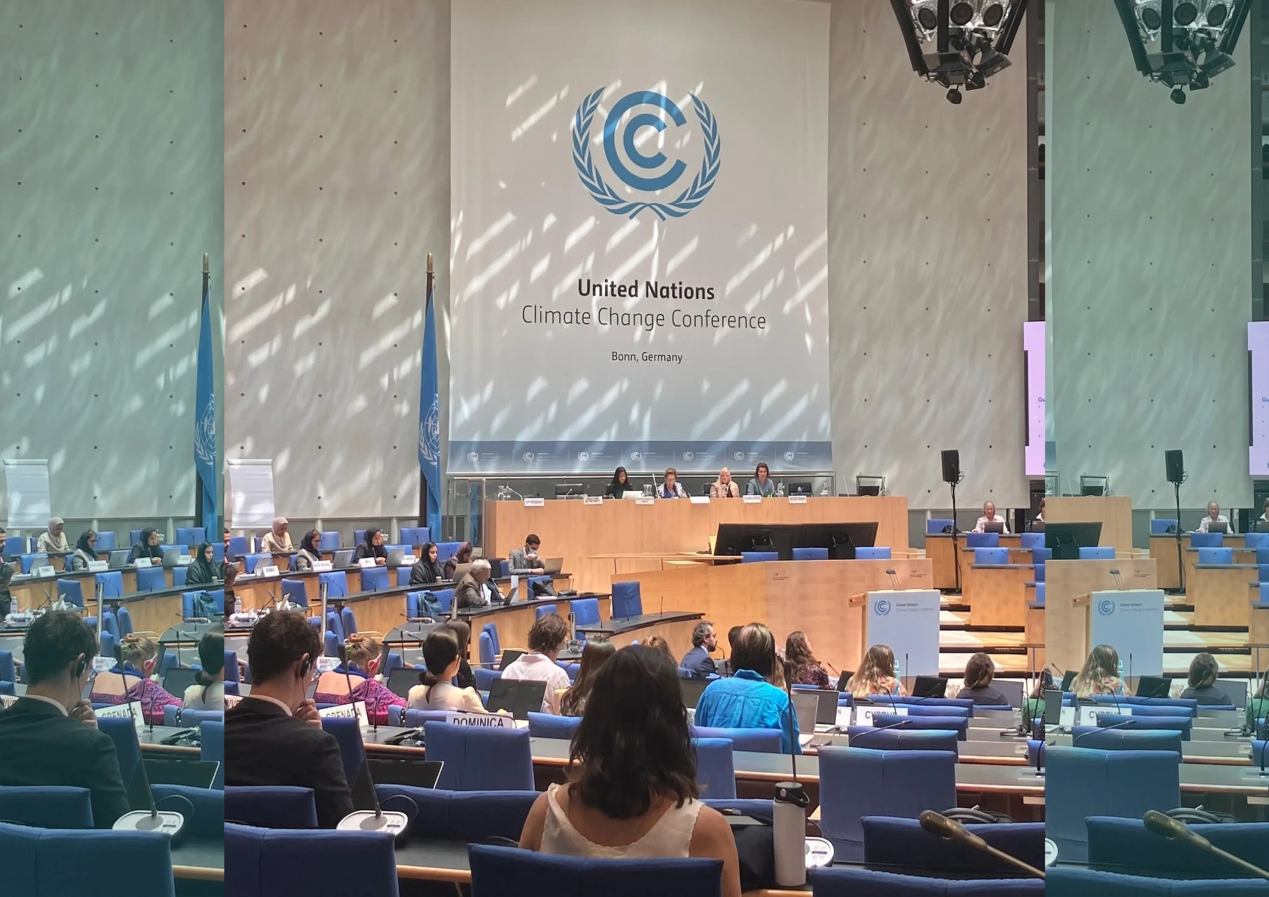 Agroecology marginalized: Why SB64 fell short of urgent climate action