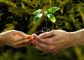 World Environment Day 2026: Agroecology as a people-led solution to the environmental and climate crisis