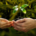 World Environment Day 2026: Agroecology as a people-led solution to the environmental and climate crisis