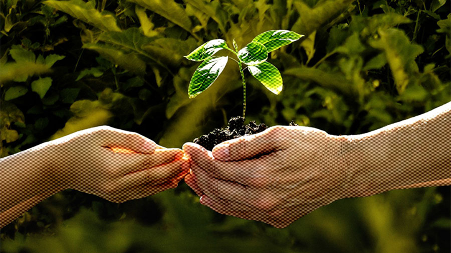 World Environment Day 2026: Agroecology as a people-led solution to the environmental and climate crisis