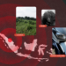 PANAP condemns palm oil violence against Indigenous Sakai in Indonesia