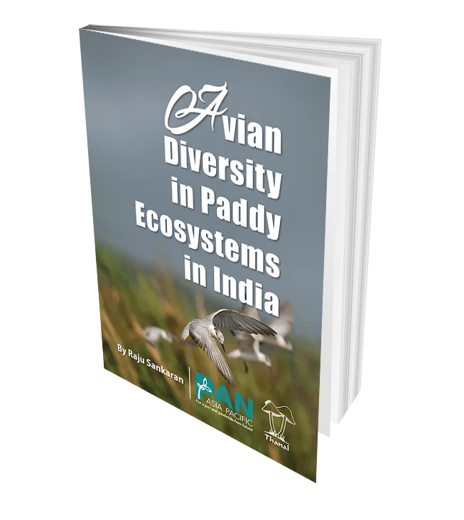 Avian Diversity in Paddy Ecosystems in India