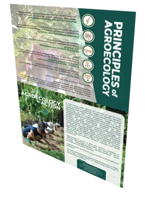 Agroecology In Action