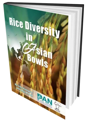 Rice Diversity in Asian Bowls