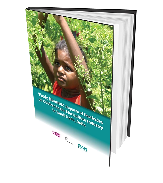 Toxic Blooms: Impacts of Pesticides on Children in the Floriculture Industry in Tamil Nadu, India