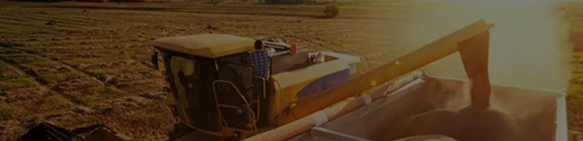 Farmers reading a PANAP publication together