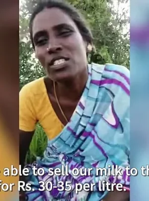 COVID-19 impacts on farmers in India 3