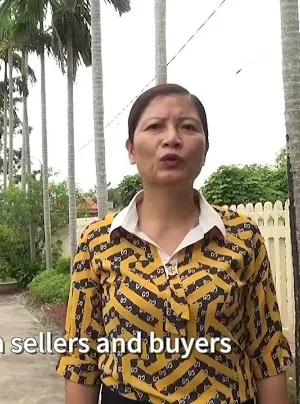 COVID-19 impacts on farmers in Vietnam 2