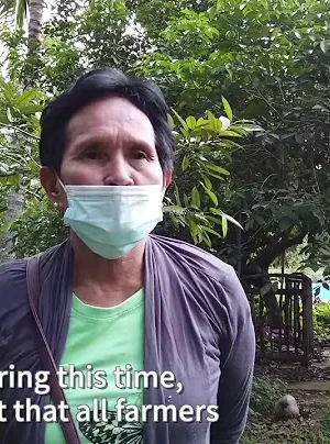 COVID-19 impacts on farmers in the Philippines 1