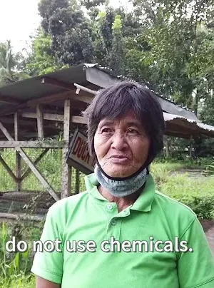 COVID-19 impacts on farmers in the Philippines 2