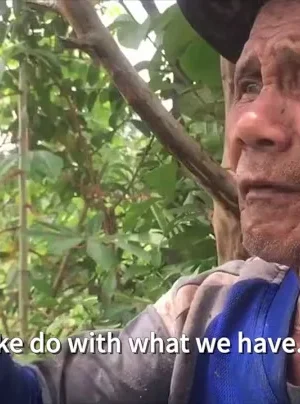 COVID-19 impacts on farmers in the Philippines 3