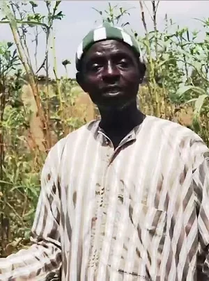 COVID-19 impacts on farmers in Senegal