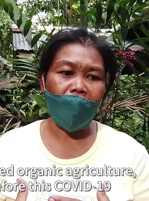 COVID-19 impacts on farmers in the Philippines 4