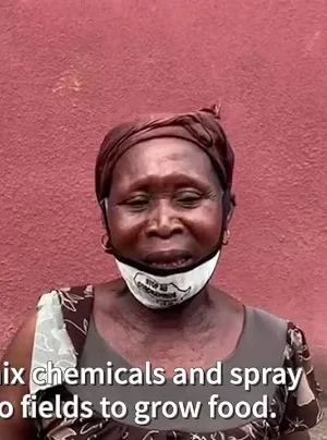 COVID-19 impacts on farmers in Ivory Coast