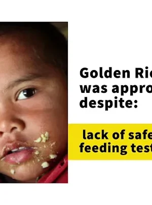 Reasons to reject Golden Rice
