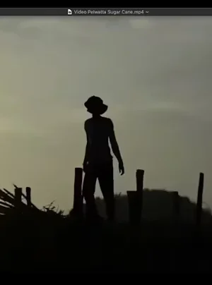 Peasants Rise Up: On the Pelwatte Land Issue in Sri Lanka